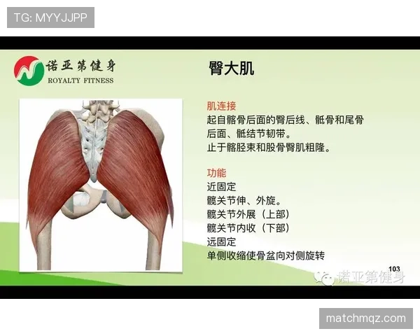 “扩大身体面积”算手球犯规吗?裁判如何判定合理防守动作 “扩大身体面积”算手球犯规吗?裁判如何判定合理防守动作